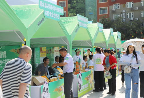 共话 甜蜜 事业 第八届 世界蜜蜂日 5 20 主题活动在绵阳平武举行