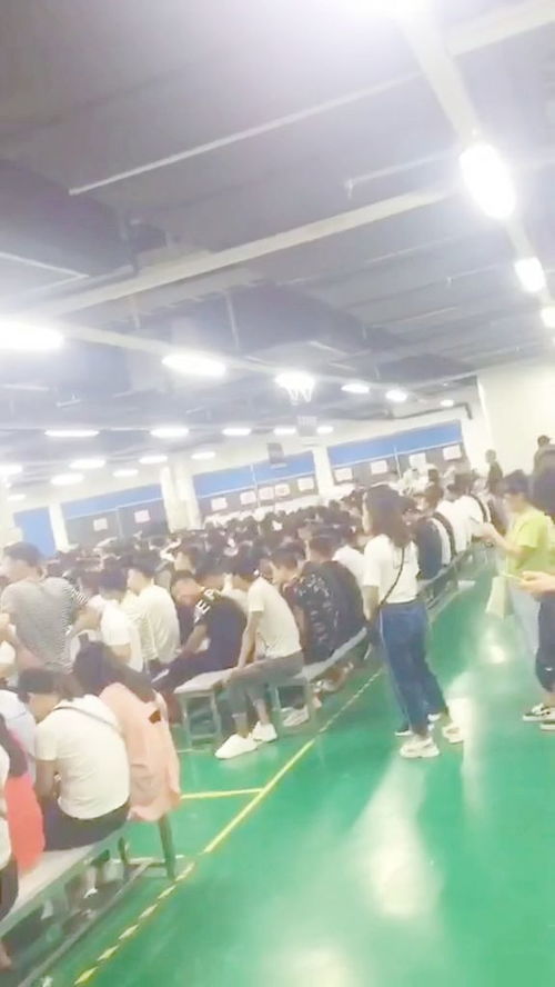 工作找到了,厂里三班倒,实习2800,转正3200同事都是00后