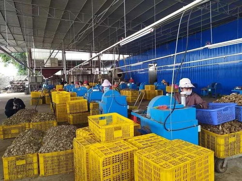 防疫复工两不误 广西南宁巾帼显担当