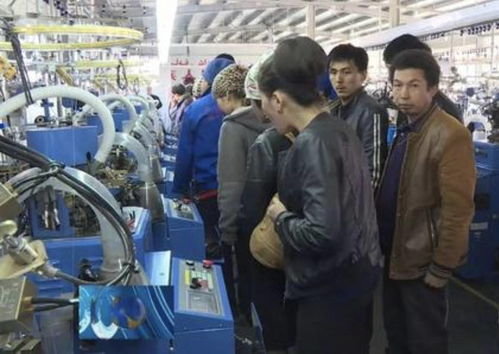 为何中介介绍的工作都是进厂 工厂从不参与招人,原因被曝光