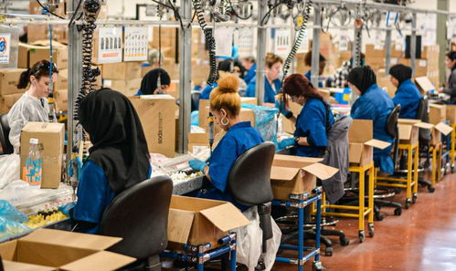 进厂打工的大学生 每天站12个小时 4年存50万