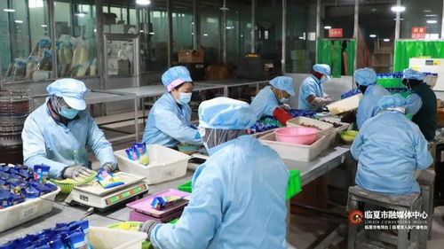 春节将至订单增 临夏市乡村就业工厂奋力冲刺 开门红