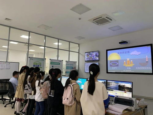 薄伟英工作室 我是 小河长 园区第二实验小学 360小海豚 职业体验活动