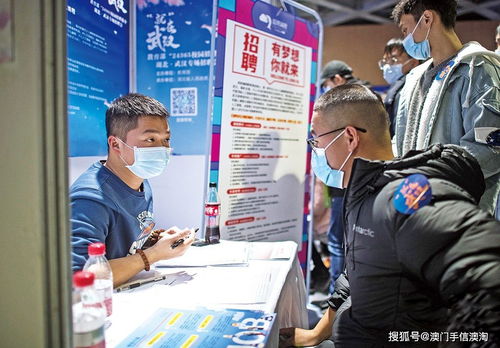 应届生求职困境中的职业中介 机遇、风险与策略