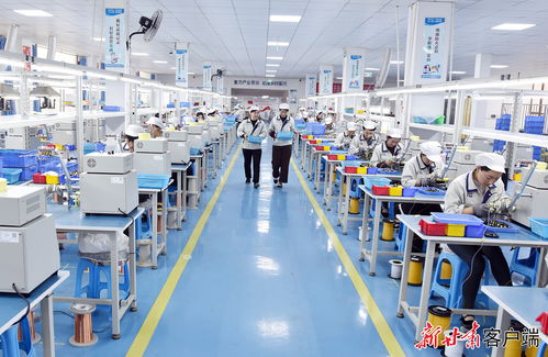 康乐东西协作乡村就业工厂节后复工生产忙，职业中介活动助力就业