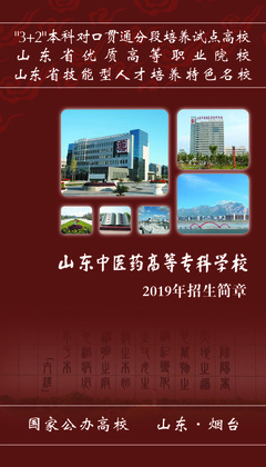 2019年普通专科招生简章与职业中介活动解析