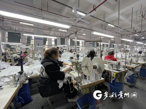 工厂建在家门口 产业就业双丰收，职业中介活动助力发展