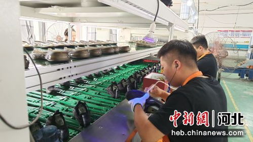 家门口的“幸福车间”——河北望都乡村微工厂铺就群众就业新路