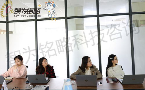 2021年苏州高新技术企业申报 财务审计与研发管理优化及劳务派遣服务指南